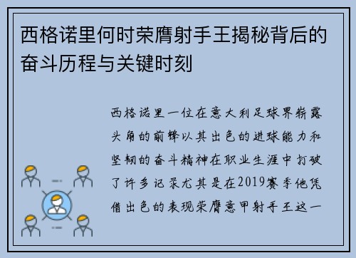西格诺里何时荣膺射手王揭秘背后的奋斗历程与关键时刻