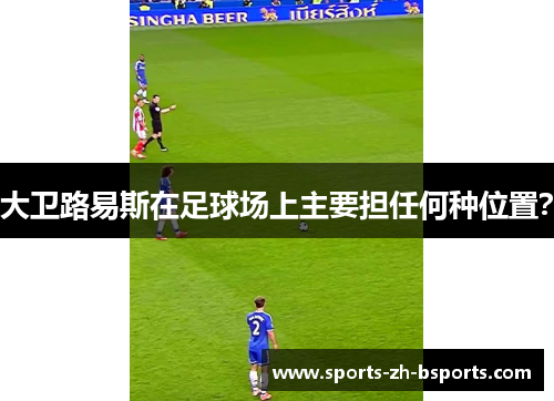 大卫路易斯在足球场上主要担任何种位置？
