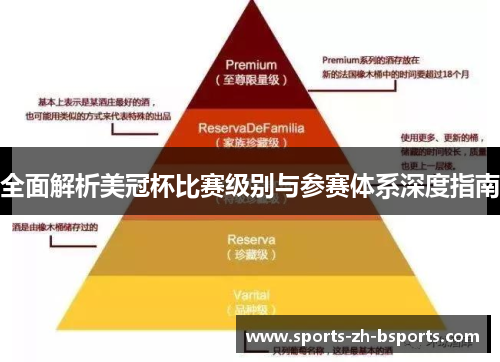全面解析美冠杯比赛级别与参赛体系深度指南