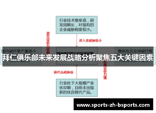 拜仁俱乐部未来发展战略分析聚焦五大关键因素