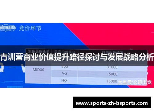 青训营商业价值提升路径探讨与发展战略分析 青训营商业价值提升路径探讨与发展战略分析